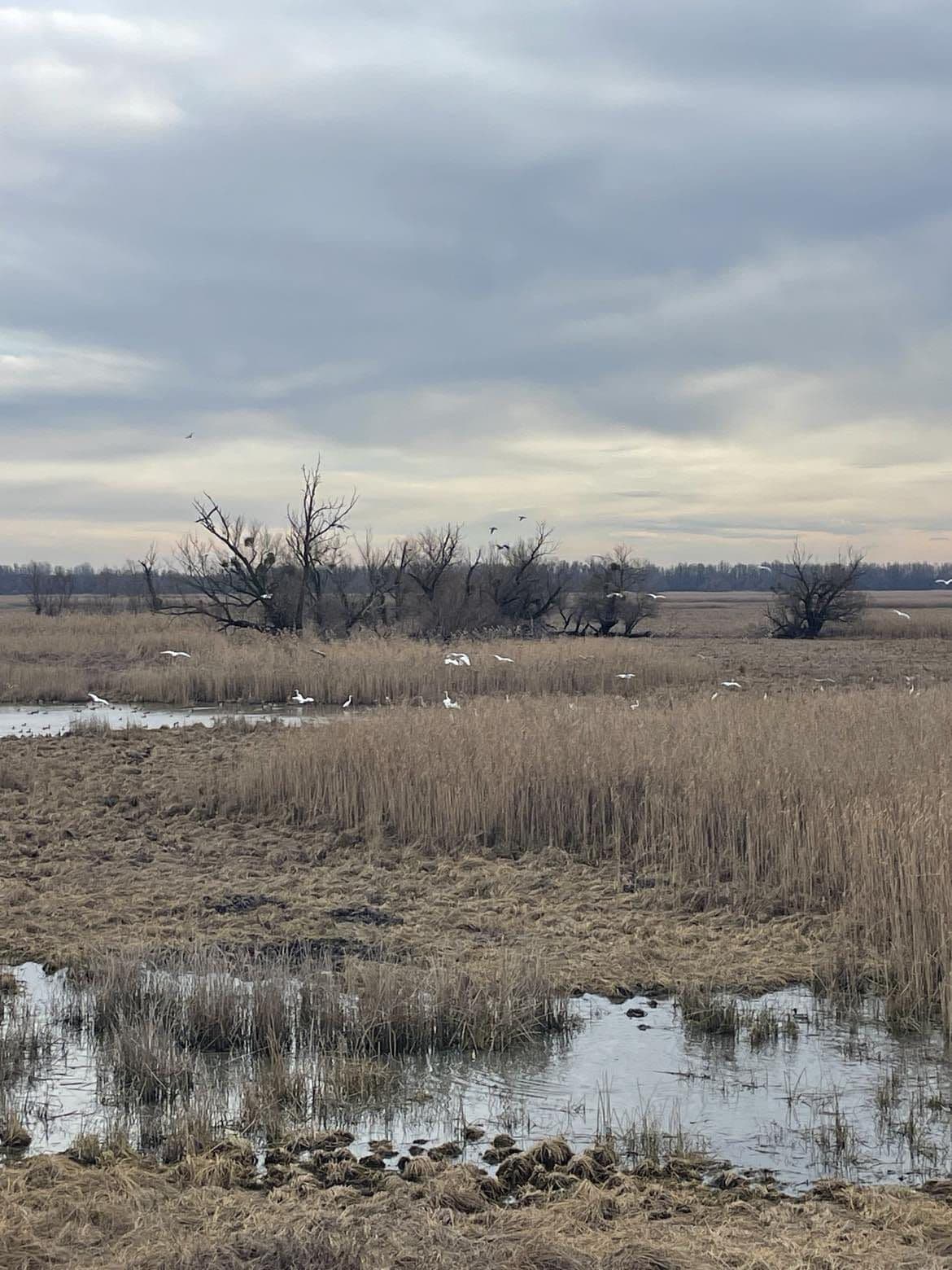 Job shadowing - Osnovna šola dr. Jožeta Pučnika, Črešnjevec, Slovenia - photo 6